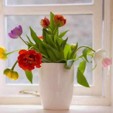 Yorkshire Retreat - Group Events And Family Holidays