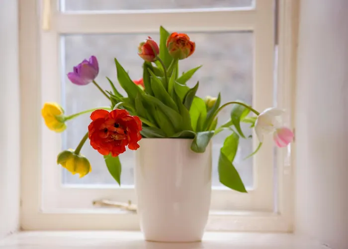 Yorkshire Retreat - Group Events And Family Holidays